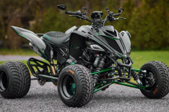 GSI-231X1