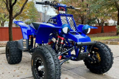 GSI-309