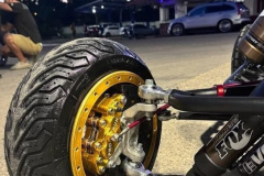 GSI-445